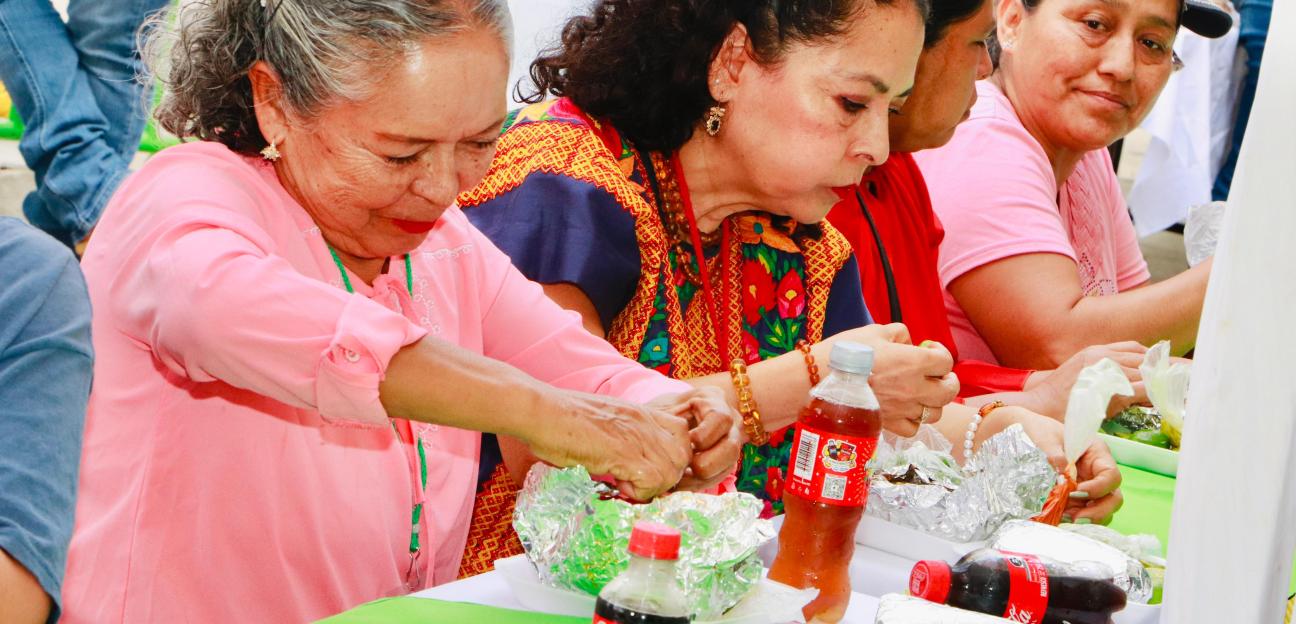 VILLA DE POZOS LLENA DE SABOR LA FENAPO 2025