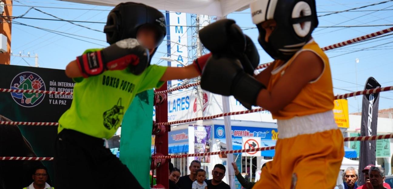 FUNCIÓN DE BOXEO TIPO OLÍMPICO EN VILLA DE POZOS