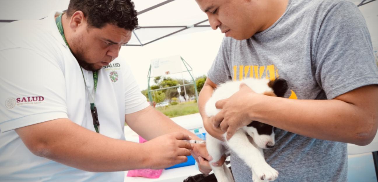 VILLA DE POZOS AVANZA EN CONTROL ÉTICO DE POBLACIÓN ANIMAL