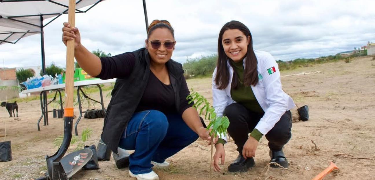 REFORESTACIÓN EN JASSOS FORTALECE RECUPERACIÓN AMBIENTAL EN VILLA DE POZOS