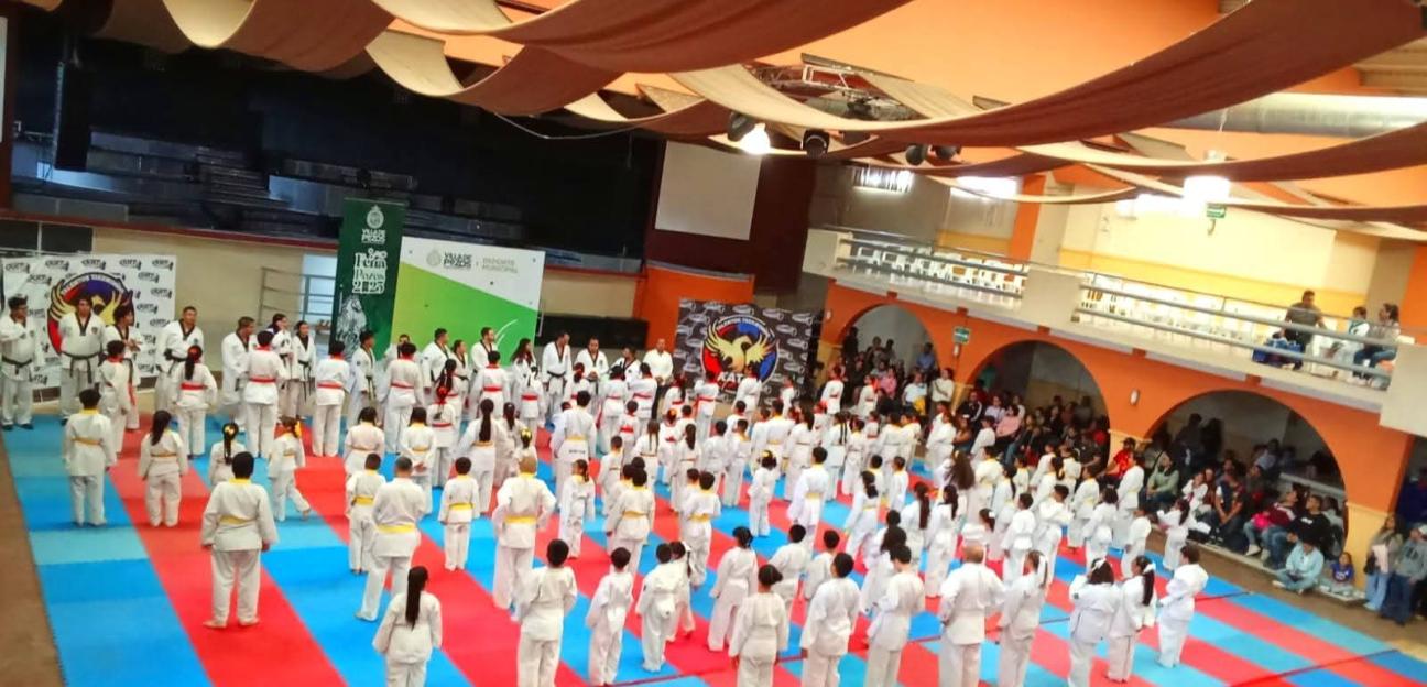 VILLA DE POZOS IMPULSA TALENTO DE TAEKWONDO