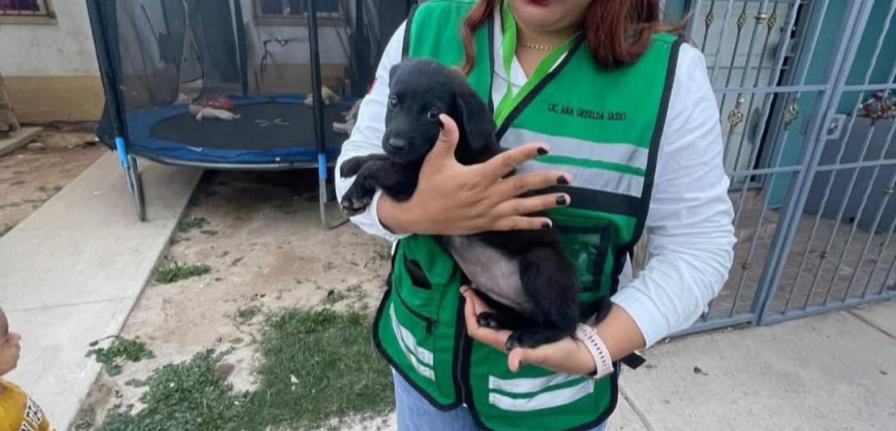 VILLA DE POZOS ATIENDE DENUNCIAS POR MALTRATO ANIMAL