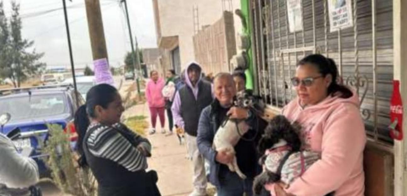 MEJORAN CALIDAD DE VIDA DE MASCOTAS EN VILLA DE POZOS