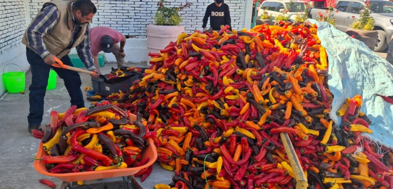 VILLA DE POZOS GESTIONA DONACIÓN ALIMENTARIA EN BENEFICIO DE SECTORES VULNERABLES