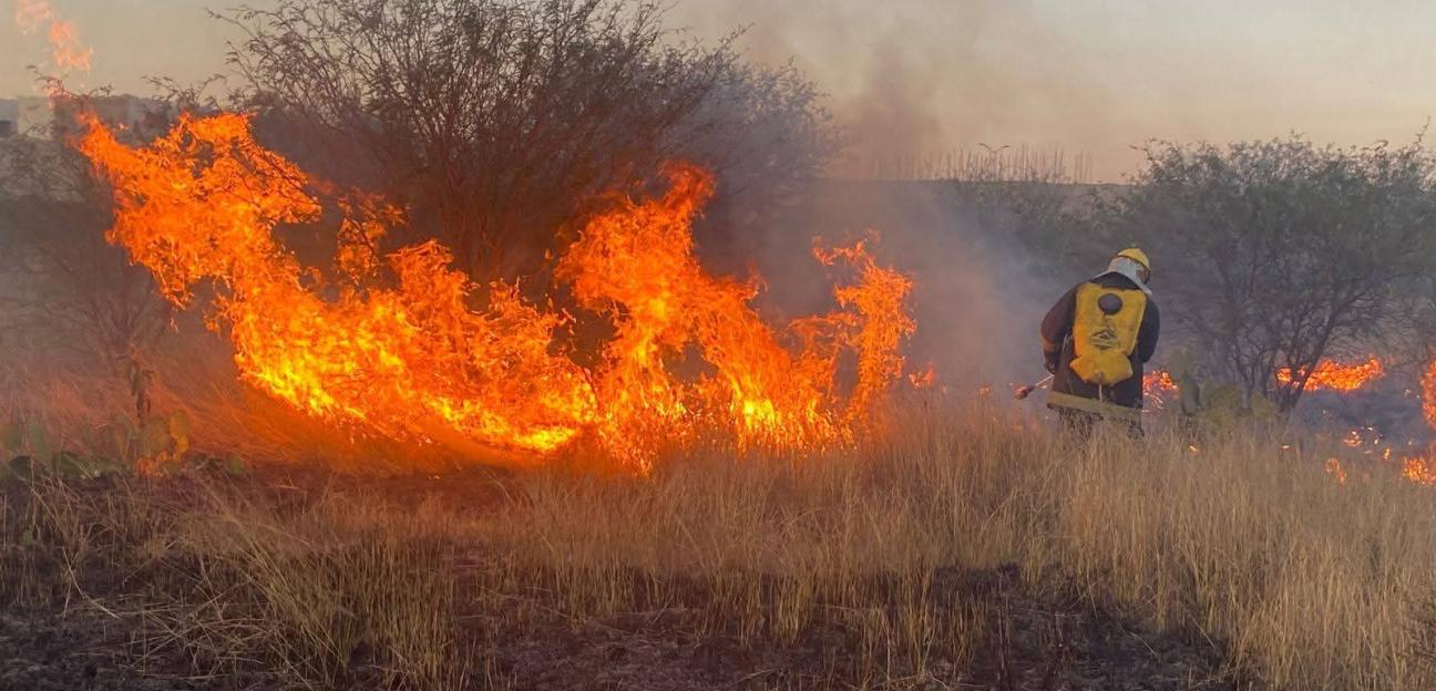 PIDEN A LA POBLACIÓN REFORZAR MEDIDAS PARA PREVENIR INCENDIOS DURANTE LA TEMPORADA DECEMBRINA