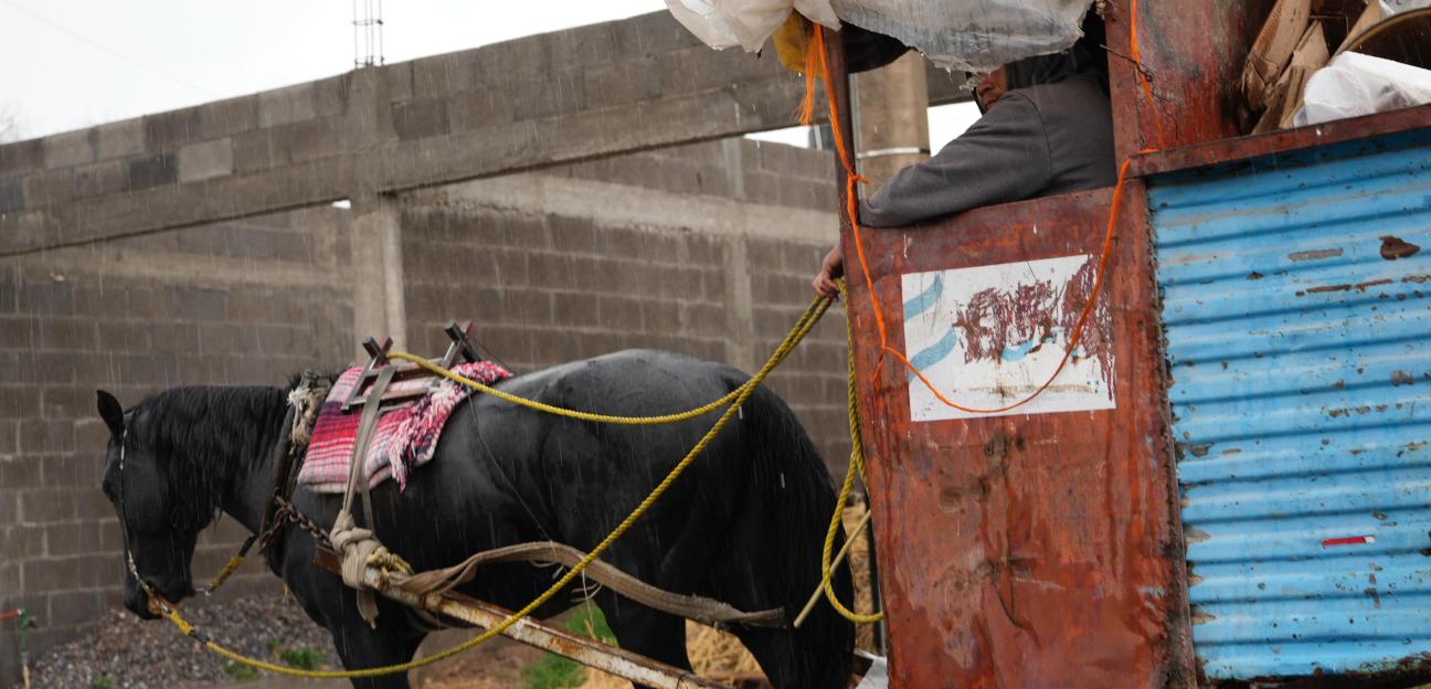 VILLA DE POZOS AVANZA HACIA LA ELIMINACIÓN DEL USO DE ANIMAL EN LA RECOLECCIÓN DE BASURA