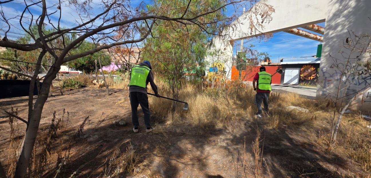 VILLA DE POZOS  RECUPERA ÁREA VERDE EN FRACC. SAN XAVIER