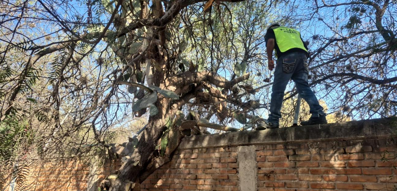 VILLA DE POZOS REALIZA PODA PREVENTIVA EN ESCUELAS