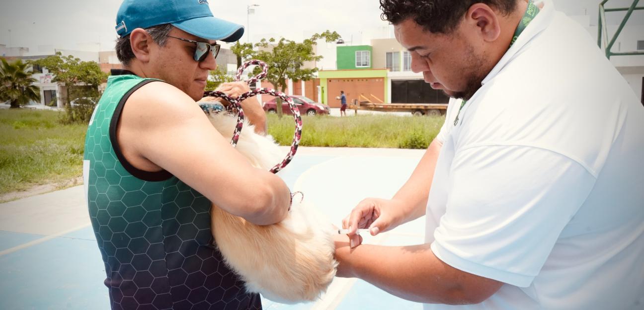 VILLA DE POZOS REALIZA CAMPAÑA ANTIRRABICA