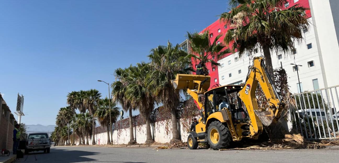 VILLA DE POZOS MEJORA IMAGEN URBANA CON JORNADA DE LIMPIEZA