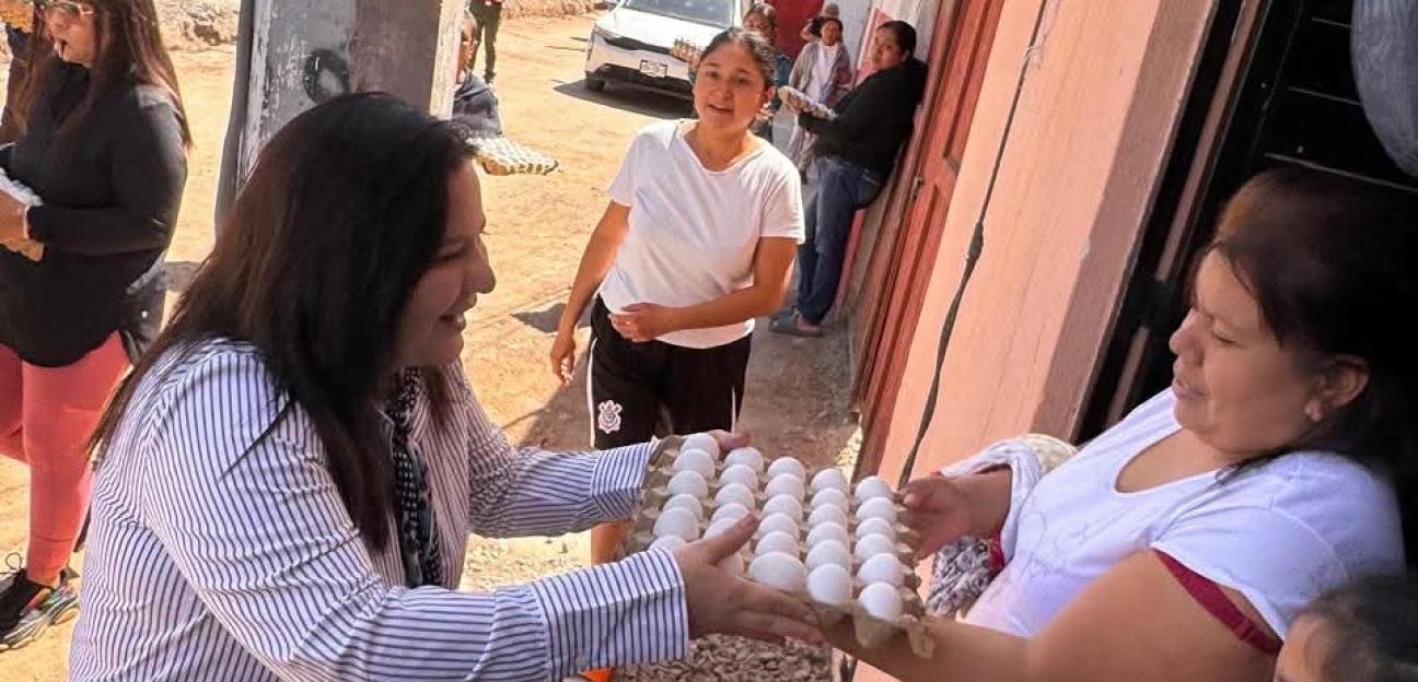 ACERCA PATY ARADILLAS APOYO ALIMENTARIO CASA POR CASA