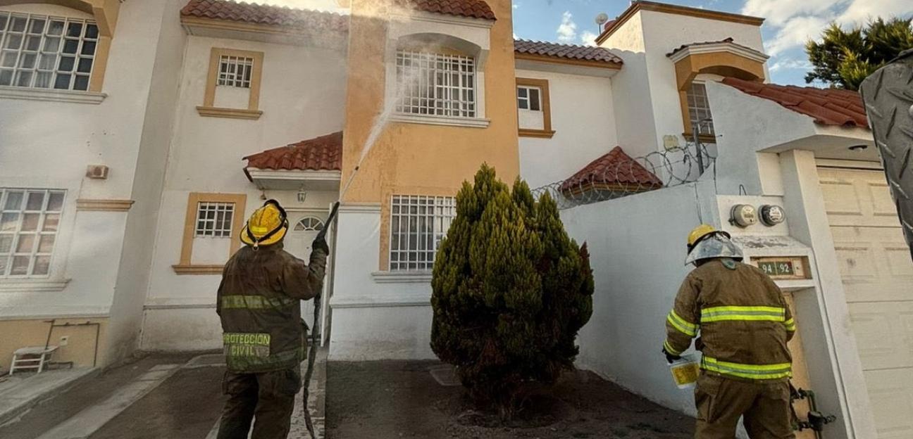 PROTECCIÓN CIVIL ATIENDE REPORTES DE ABEJAS