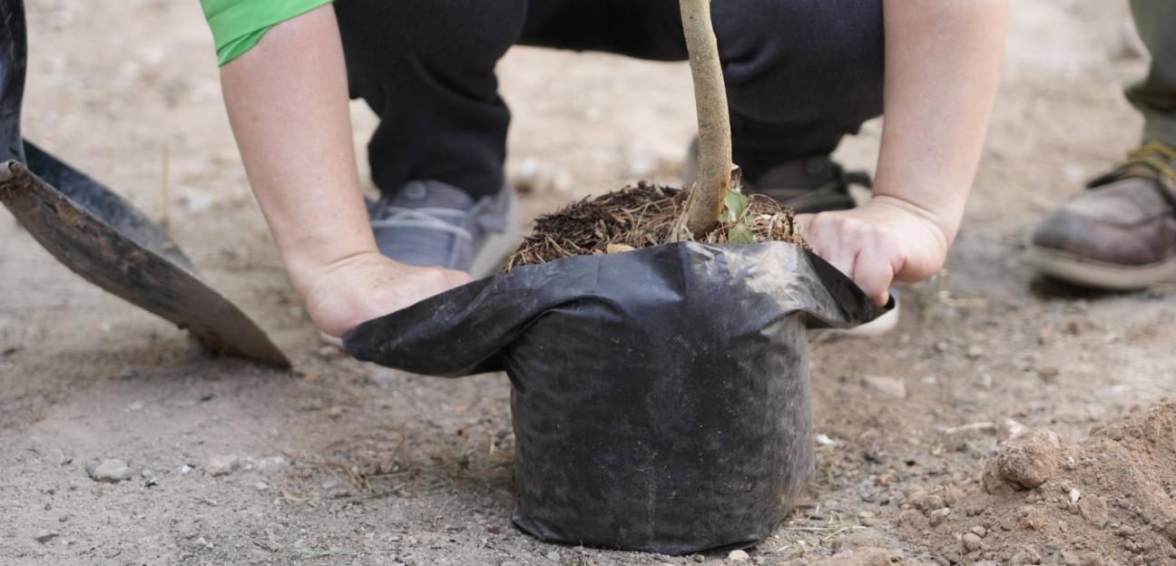 VILLA DE POZOS REFUERZA ACCIONES PARA UN MUNICIPIO MÁS VERDE