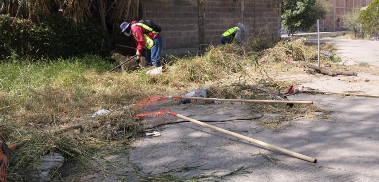 VILLA DE POZOS MANTIENE TRABAJOS DE PODA EN FRACCIONAMIENTOS