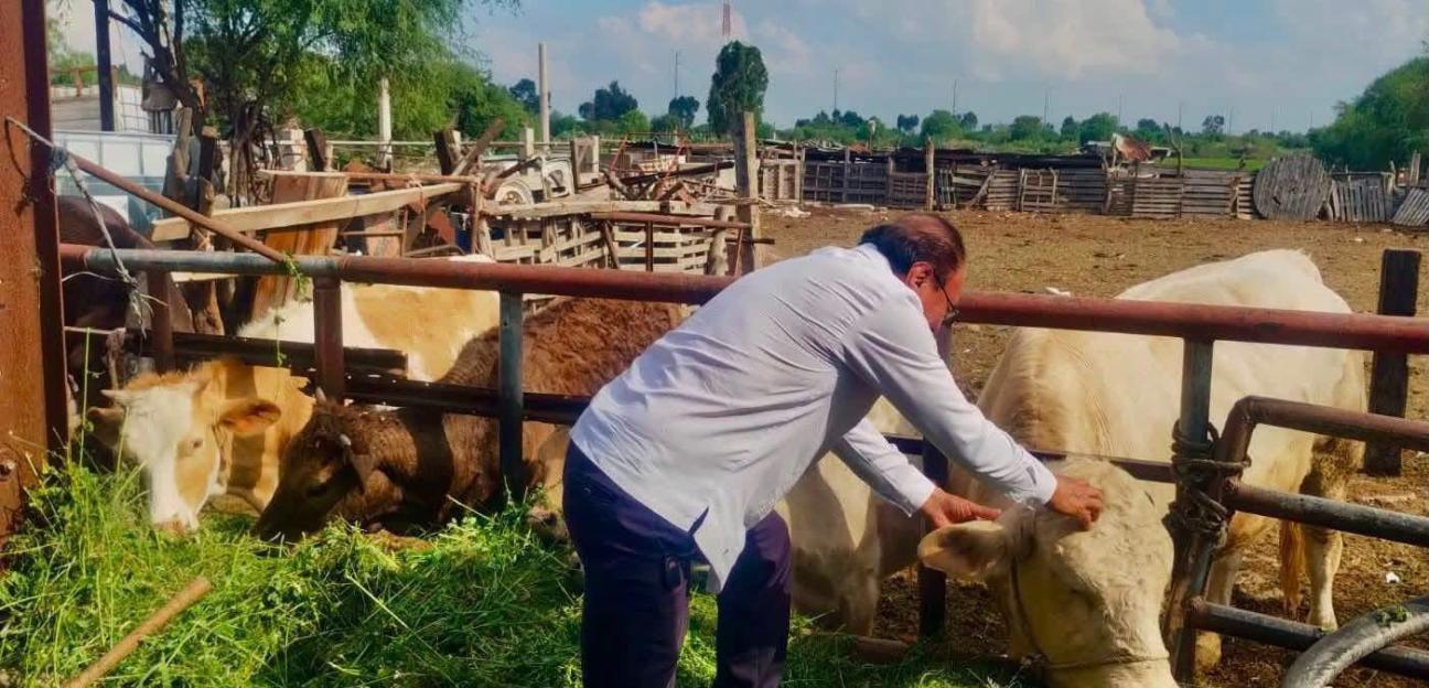VILLA DE POZOS VIGILARÁ LOS ESPACIOS DE SALUD DE LOS ANIMALES DURANTE LA FEREPO
