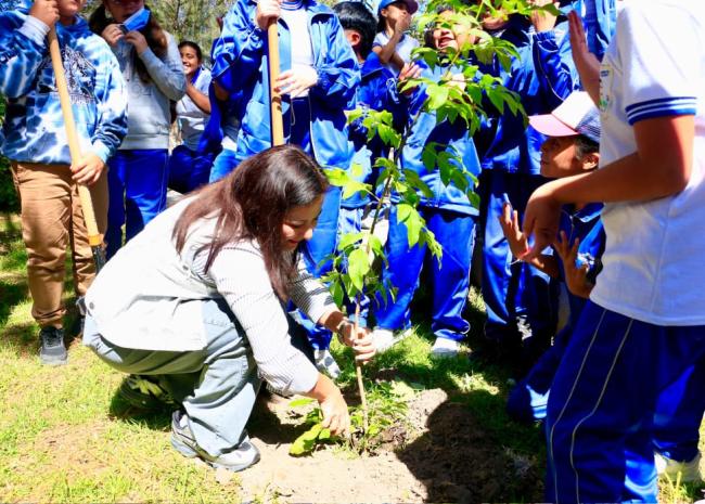 VILLA DE POZOS REVERDECE EL CORAZÓN DE SU CABECERA MUNICIPAL CON NUEVOS ÁRBOLES